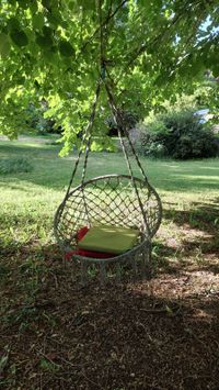 Swing in the shade of the linden tree.