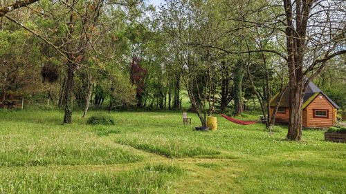 Vue du terrain de Graine de nature