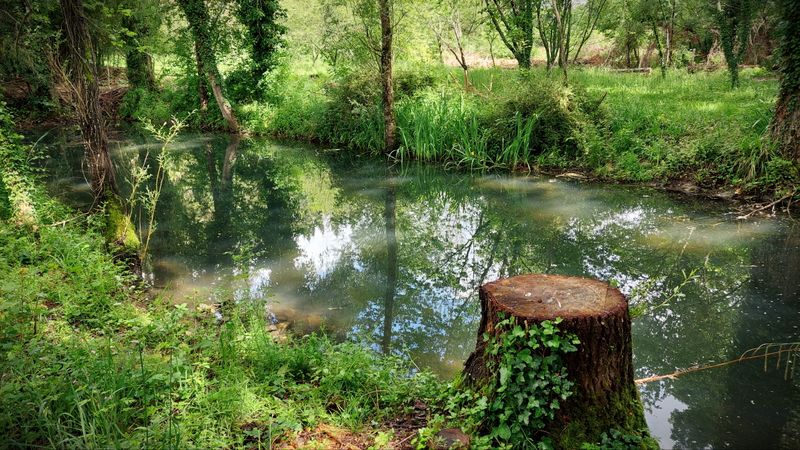 Vue du terrain de Graine de nature 3
